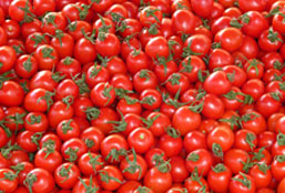 迷你轰炸机平台