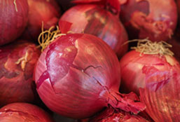 短信压力测试破解版