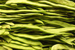 超强动力持续的云呼官网