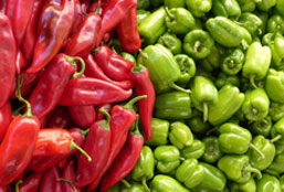 在线短信轰炸软件