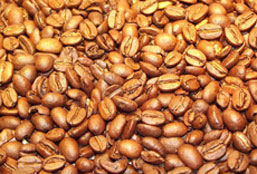 找渠道短信在线云呼轰炸